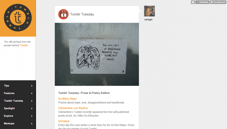 tumblr1 730x415 The 15 best blogging and publishing platforms on the Internet today. Which one is for you?