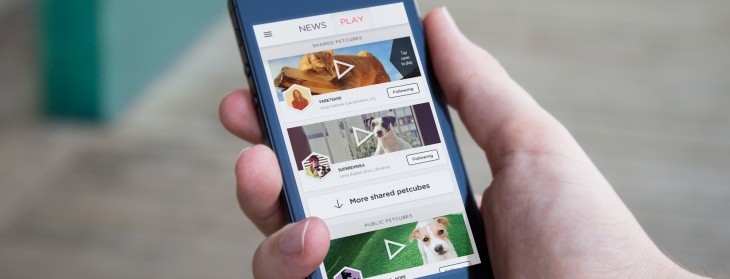 Petcube 730x279 Life after Kickstarter: How Petcube is preparing its pet focused gadget for the mass market