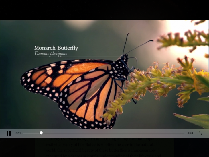 Photo 27 02 2014 10 45 30 730x547 Wonders of Life for iOS takes you on a spellbinding tour of planet Earth