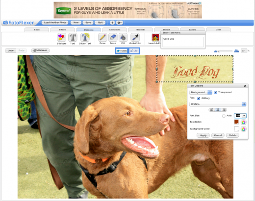 Screen Shot 2014 02 15 at 1.19.29 AM 520x410 The 9 best browser based photo editing tools available today