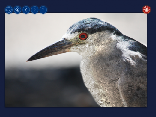 photo 22 520x390 Hands on with Handy Photo, a mobile app that lets you tweak photos to perfection