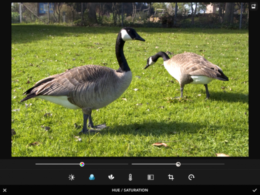 photo 4 520x390 photo photo 4 520x390 Rookie may just be an ideal replacement for your iPhones built in camera app