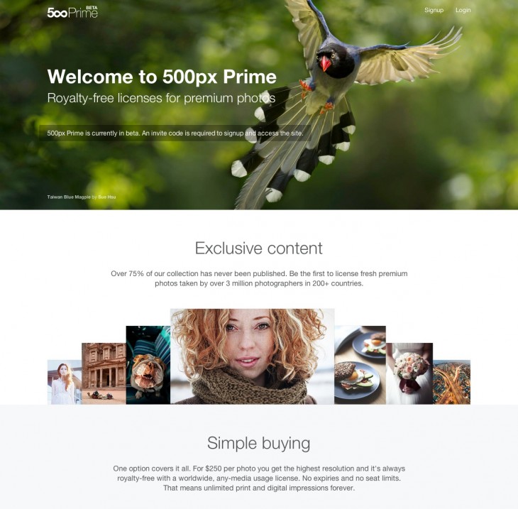 resource 730x717 500px launches its Prime licensing store, increases cut for photographers from 30% to 70%