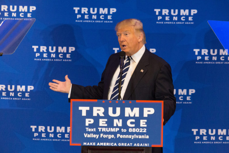 How the Internet tricked you into thinking Trump wouldn’t win