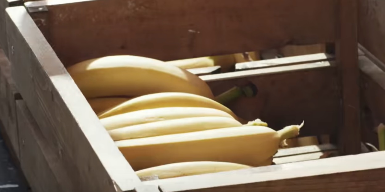 photo of Amazon gives away 1.7M bananas around its headquarters in Seattle image